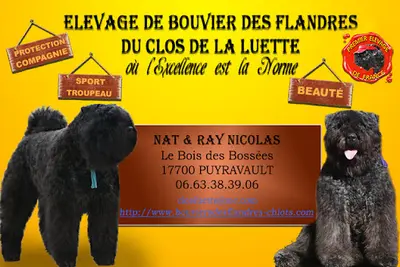 Elevage du Clos de la Luette