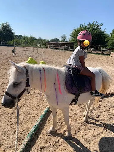 Mon Ami Poney® Cadenet Vaucluse