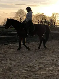 Ballade des Sens