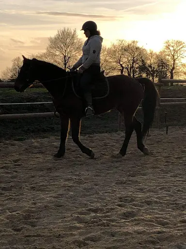 Ballade des Sens