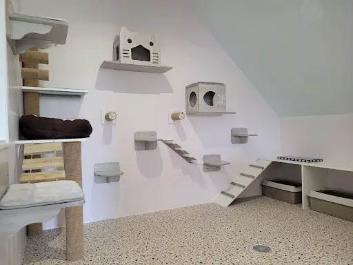 Hôtel Félin Serenicat Pension Pour Chats 22
