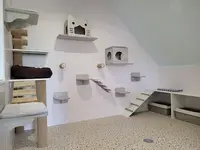 Hôtel Félin Serenicat Pension Pour Chats 22
