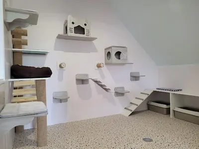 Hôtel Félin Serenicat Pension Pour Chats 22
