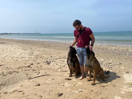 Etb-k9 Academy Éducateur Comportementaliste Canin