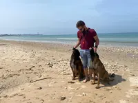 Etb-k9 Academy Éducateur Comportementaliste Canin