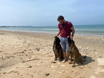 Etb-k9 Academy Éducateur Comportementaliste Canin