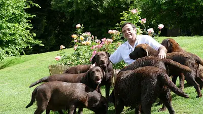 Labradors du Bois des Lilas
