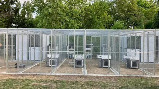 l'Arche des Zim - Pension Animalière Chat et Nac