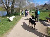 Autour des Chiens 29 Comportementaliste et Éducateur Canin