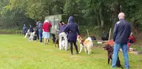 Club Canin de l'Odet