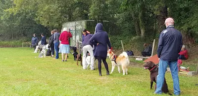 Club Canin de l'Odet