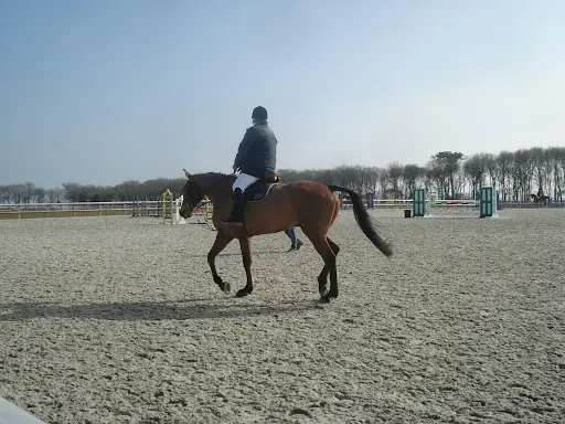 Padd Quimper