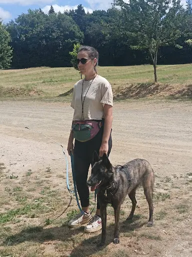 Wolf Canis