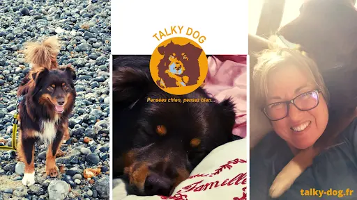 Talky Dog - Comportementaliste Canin
