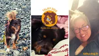 Talky Dog - Comportementaliste Canin