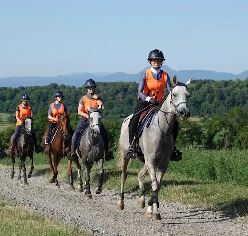 Haras de la Majorie