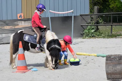 Au Poney Magique