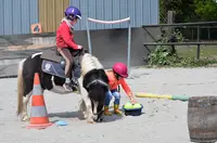 Au Poney Magique