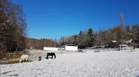 La Ferme du Petit Galop