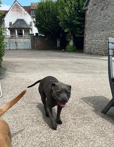 Pension Familiale Chez Fanny