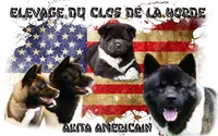 Elevage du Clos de la Horde