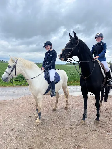 Domaine et Poney Club du Bel Amour