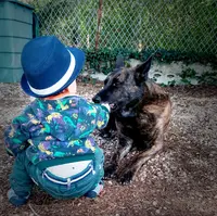 Education Canine - Conseil en Comportement - Chiens des Villes