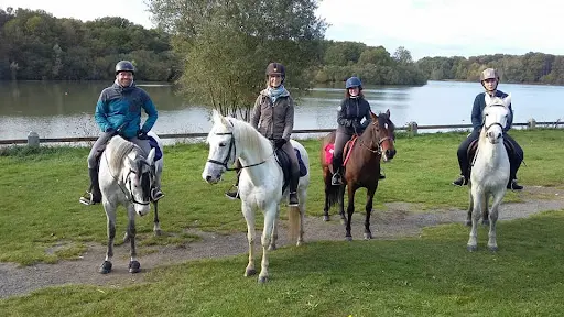 Equievent