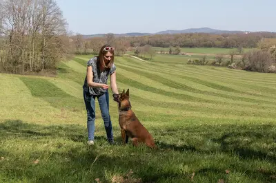 Cani Solutions Educateur Canin Ranchot, Besancon, Saint Vit, Dole