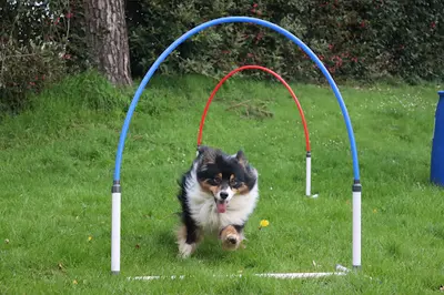 Lucile Canigood