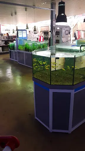 Jardiland