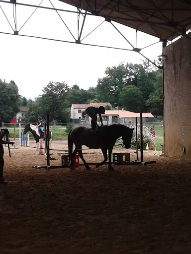 Ecuries Sportives des Quatre Temps - Poney Club À Razac sur l'Isle