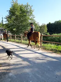 Les Écuries du Centaure