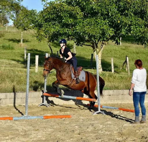 Co Galop - Monitrice d'Équitation Indépendante