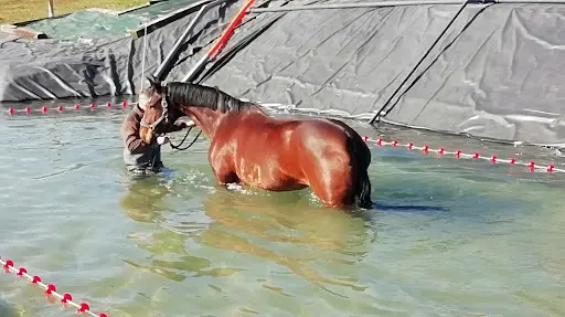 Amplitude Stables