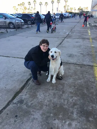 Le Maître en Laisse Éducation Canine 83
