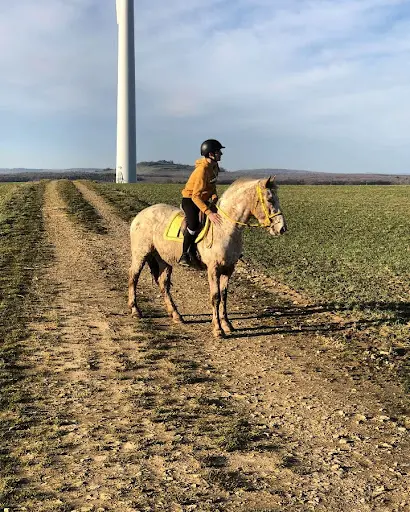 Au Petit Trot (ferme Equestre)