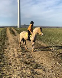 Au Petit Trot (ferme Equestre)