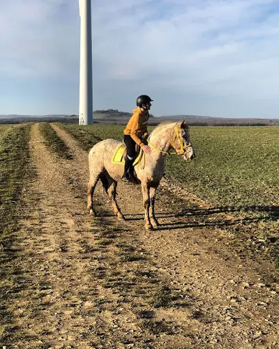 Au Petit Trot (ferme Equestre)