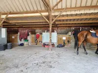 Poney Club des Cours/louise Fillon