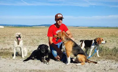Éducateur Canin Respectdogs Reims
