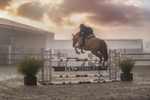 Elti Stables