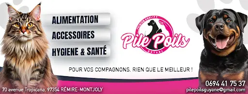 Pile Poils Guyane