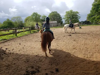 Poney Club Equi Libre