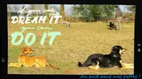 Au Poil Dans Mes Pattes !