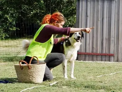 Copain Canin