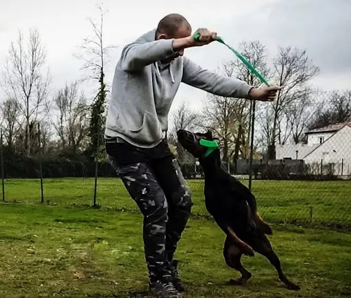 Naya & Co Éducateur Canin