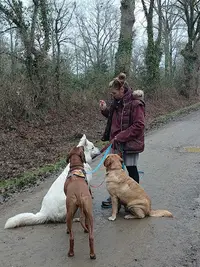 Pension Canine - Popo la Bonne Patte