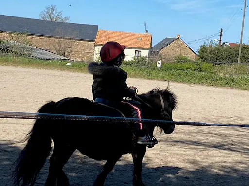 Segala Levezou Equitation