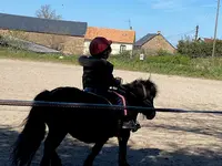 Segala Levezou Equitation